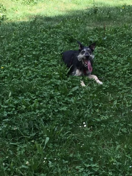 Kiki cerca Casa | Foto 5