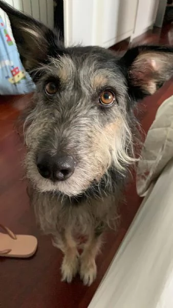 Kiki cerca Casa | Foto 3