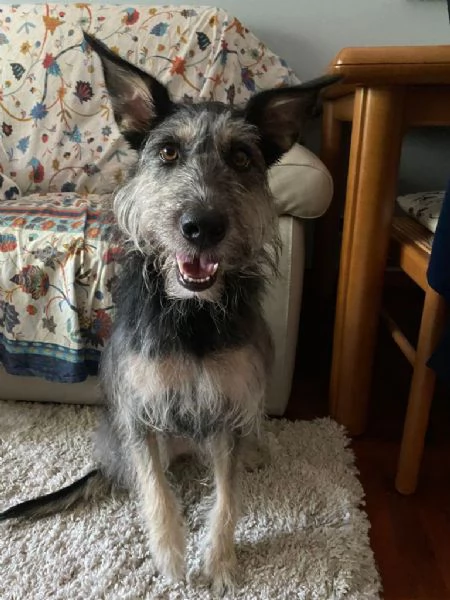 Kiki cerca Casa | Foto 2