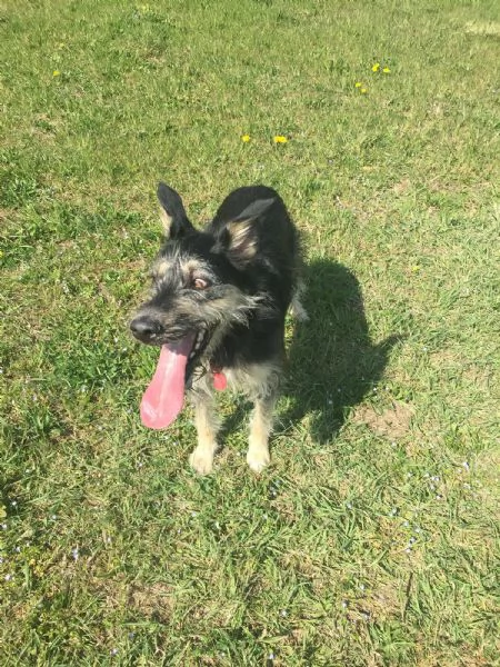 Kiki cerca Casa | Foto 1