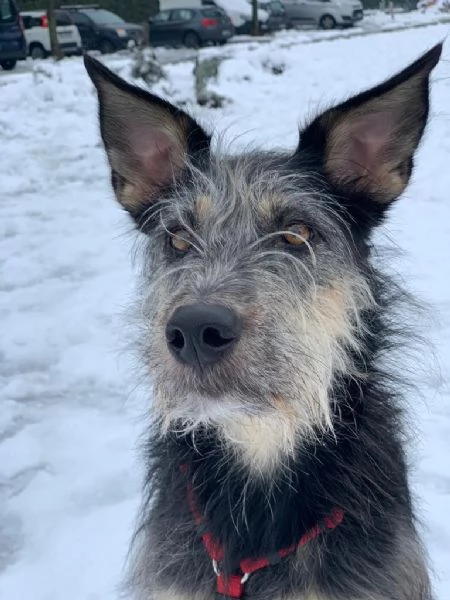 Kiki cerca Casa | Foto 0