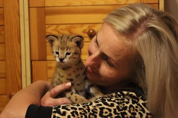 Regalo di Natale per i vostri bambini | Foto 5