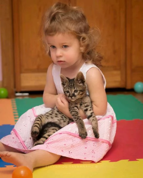 Bambini della savannah  | Foto 0