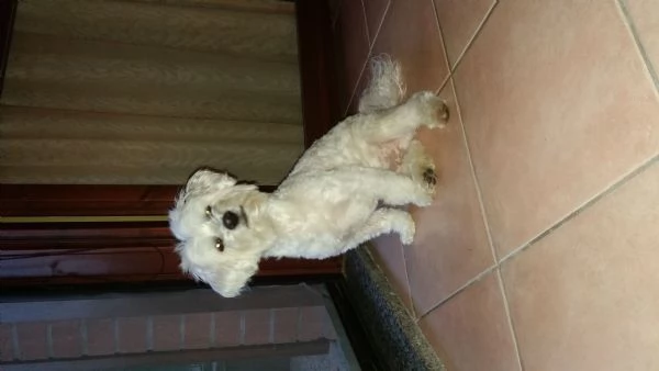 Roki cerca una fidanzata | Foto 0