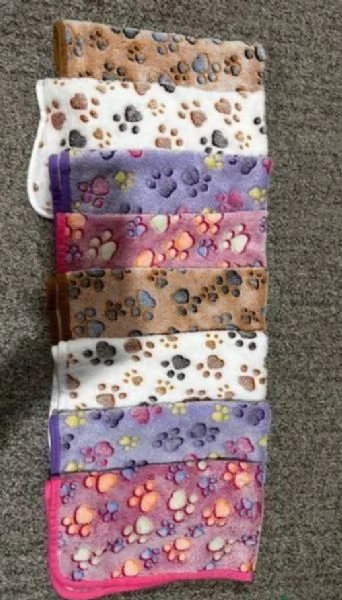 disponibili cuccioli di maltese toy per la dozione 