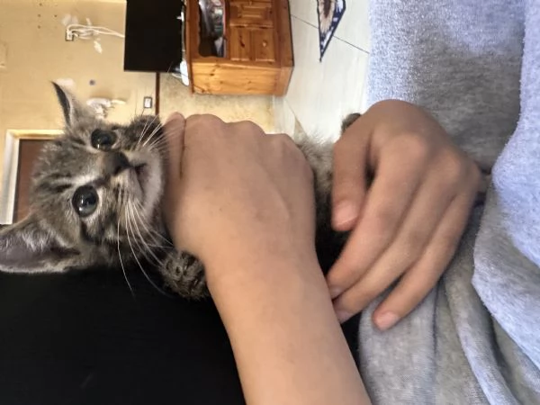 STICH CERCA CASA | Foto 2