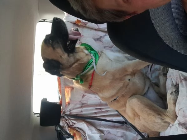 GIUNONE cerca casa  | Foto 1