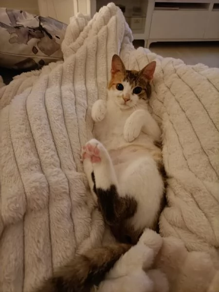 Una casa per Carlotta | Foto 1