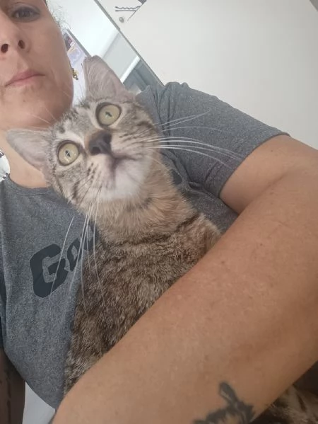 La Dolce Lulù cerca casa | Foto 6