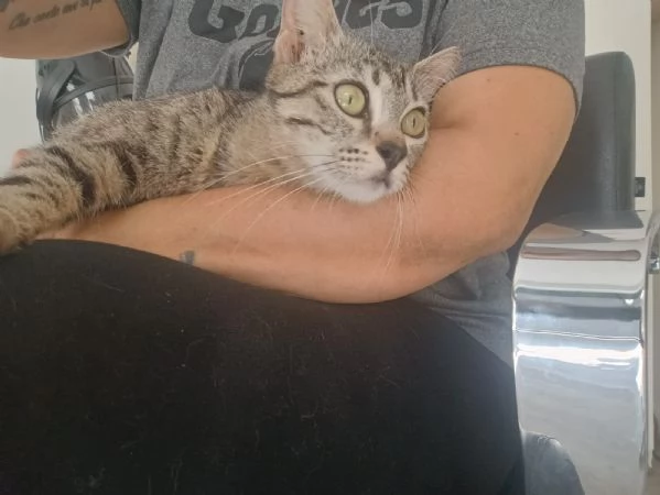 La Dolce Lulù cerca casa | Foto 2