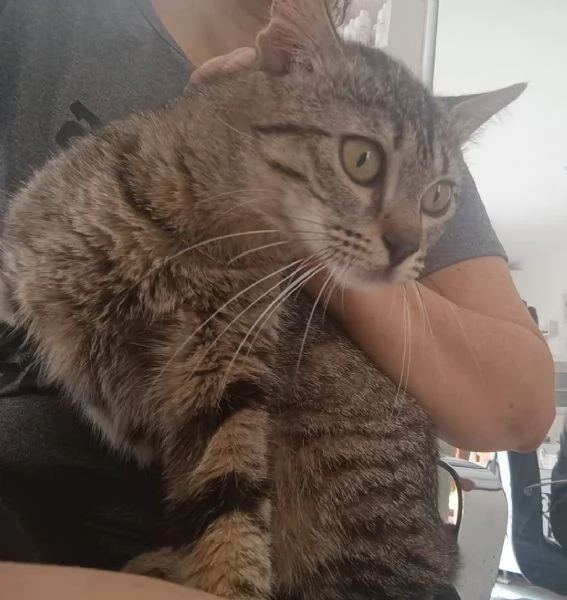 La Dolce Lulù cerca casa | Foto 1