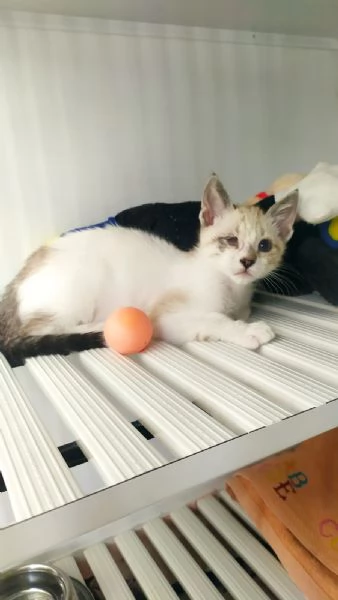 Cinzia aspetta solo te per riempire la tua vita di gioia e amore