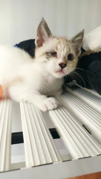 Cinzia aspetta solo te per riempire la tua vita di gioia e amore | Foto 4