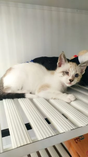 Cinzia aspetta solo te per riempire la tua vita di gioia e amore | Foto 3