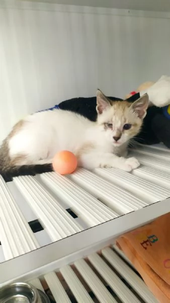 Cinzia aspetta solo te per riempire la tua vita di gioia e amore | Foto 2