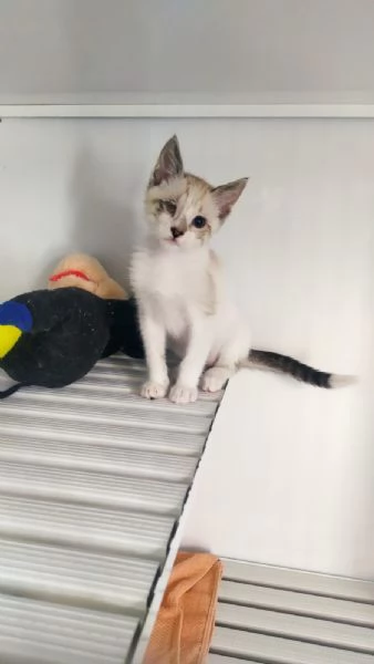 Cinzia aspetta solo te per riempire la tua vita di gioia e amore | Foto 1