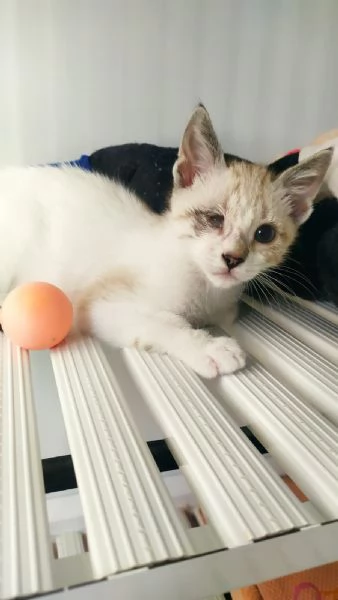 Cinzia aspetta solo te per riempire la tua vita di gioia e amore | Foto 0