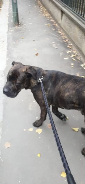 DJ, Rotticorso | Foto 1