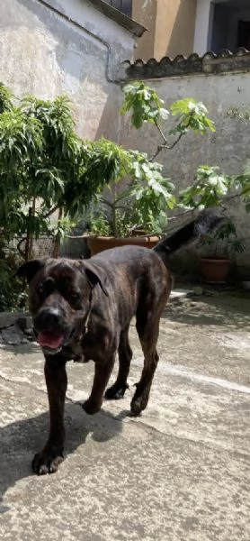 DJ, Rotticorso | Foto 0