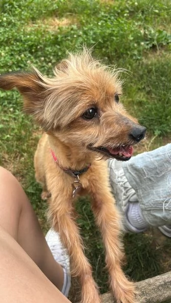 Chicca 14 Anni | Foto 1