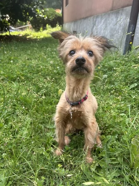 Chicca 14 Anni | Foto 0