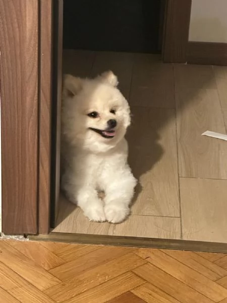 Cerco ragazza  | Foto 0