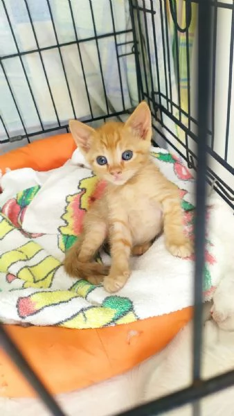 Due meraviglie aspettano una mamma speciale | Foto 5