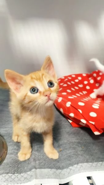 Due meraviglie aspettano una mamma speciale | Foto 3