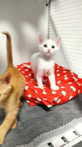 Due meraviglie aspettano una mamma speciale | Foto 1