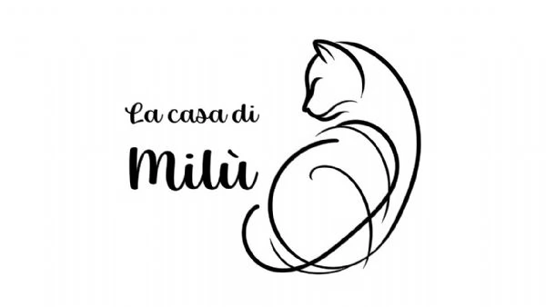 Cuccioli Ragdoll di Alta Genealogia | Foto 6