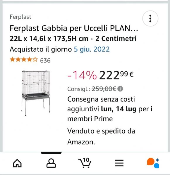 Cocorite, voliera, gabbia e e