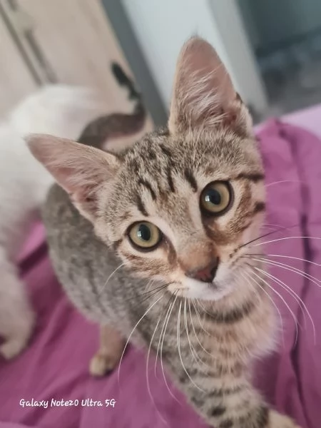 Coco cerca casa | Foto 6