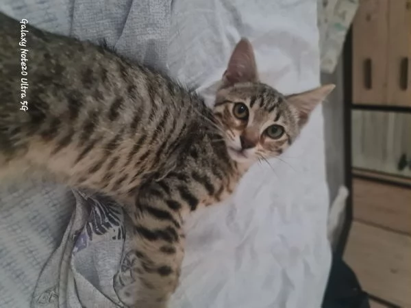 Coco cerca casa | Foto 2