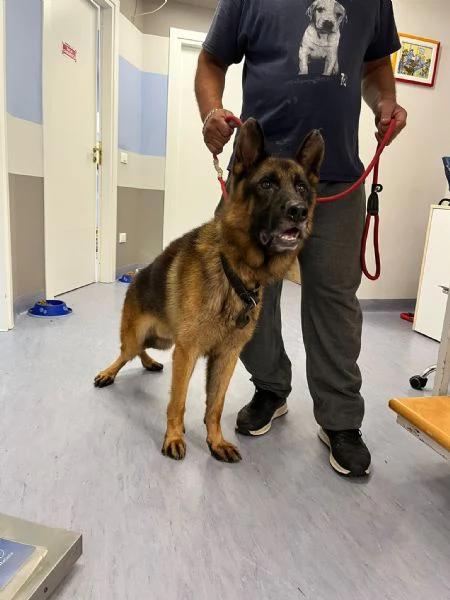 Raul PASTORE TEDESCO  | Foto 1