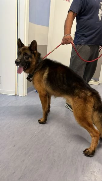 Raul PASTORE TEDESCO  | Foto 0