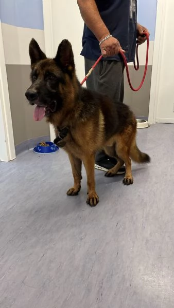 Raul PASTORE TEDESCO 