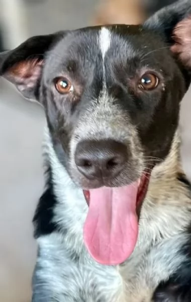 Noemi 5 mesi | Foto 1