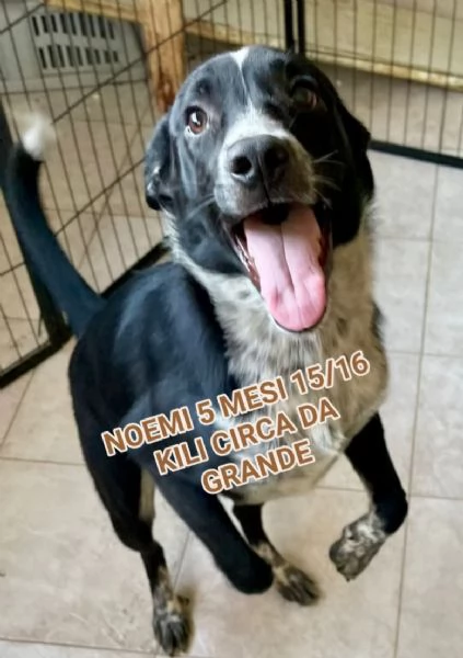 Noemi 5 mesi | Foto 0