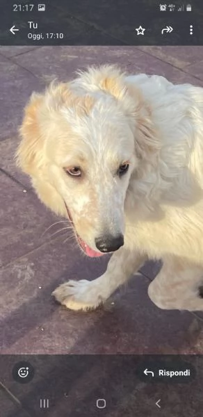 Diva 6 mesi | Foto 1