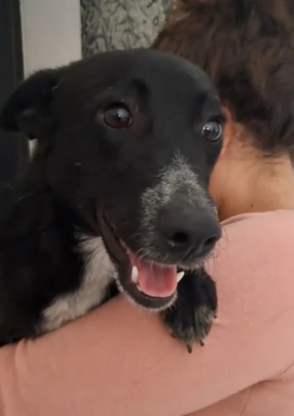 Arisa taglia piccola