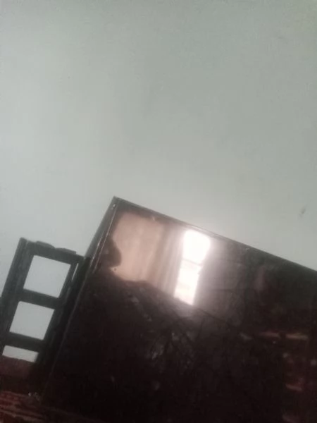 Adorabili cuccioli di Cavalier King Charles. | Foto 0