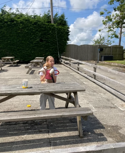 spettacolari cucciola di pastore australiano australian shepherd per ladozione | Foto 1