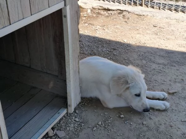 Kobe cerca casa | Foto 1