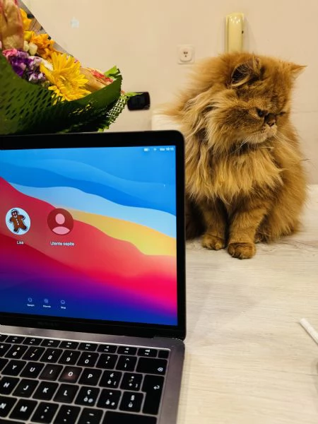 Lea cerca casa | Foto 0