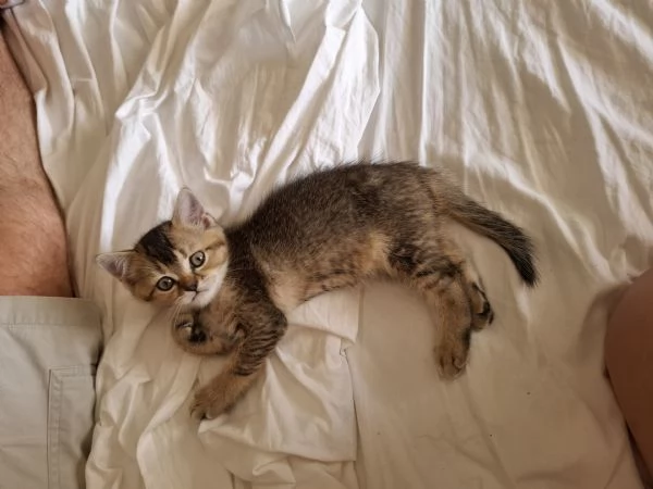 Cerchiamo una famiglia amorevole | Foto 1