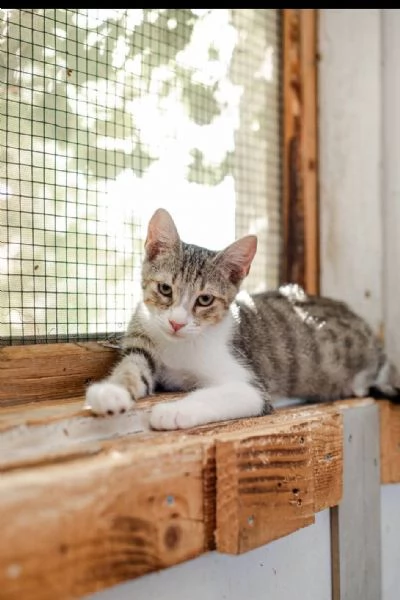 Rico cerca casa | Foto 0