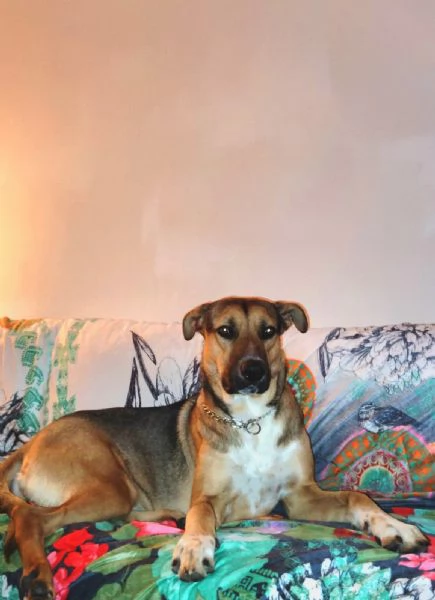 Arthur meticcio dolcissimo