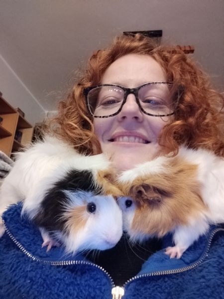 Regalo due cavie peruviane a pelo medio | Foto 0