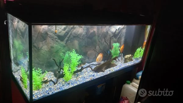 ACQUARIO JUWEL RIO  450 LITRI