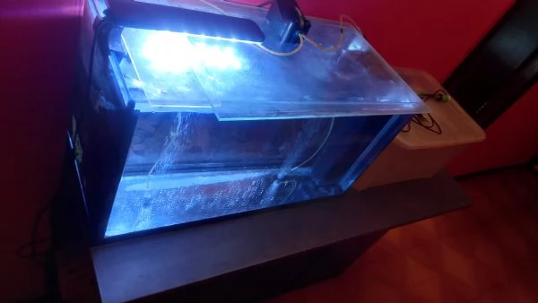 ACQUARIO JUWEL RIO  450 LITRI | Foto 4